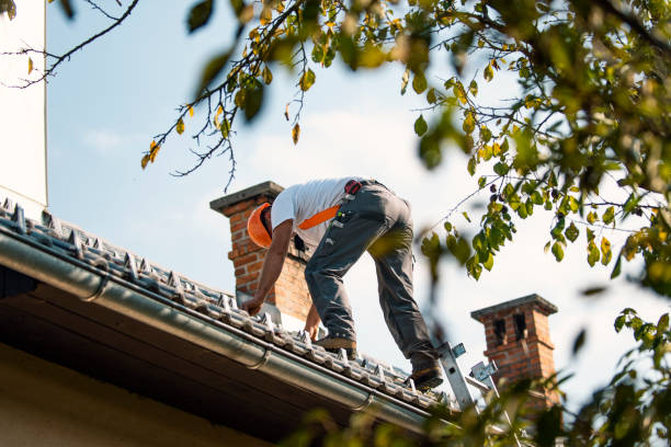 Best Storm Damage Roof Repair  in Fleetwood, PA